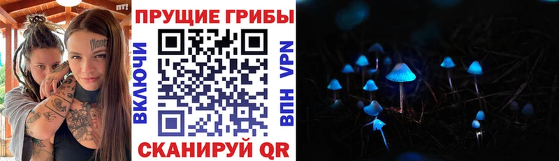 Галлюциногенные грибы ЛСД  Ильский 